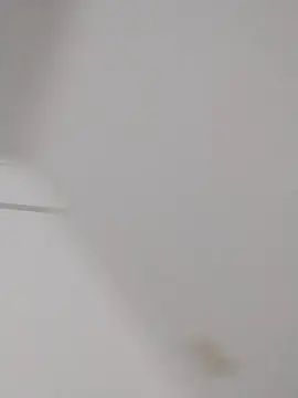 Gay sex chat with Javito096 - camgaychat.com - Spain