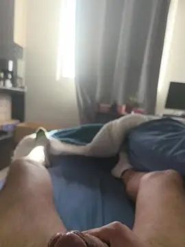 Gay sex chat with ZOMBRA420 - camgaychat.com - Spain