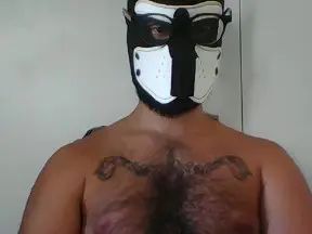 Gay sex chat with Zeuspuppy - camgaychat.com - Portugal