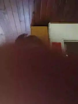Gay sex chat with nestor277 - camgaychat.com - Spain