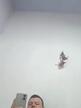 Gay sex chat with anthony_cock - camgaychat.com - Spain