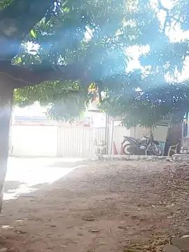 Gay sex chat with Frajuni - camgaychat.com - Portugal