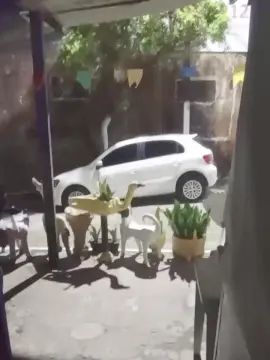 Gay sex chat with Flanjuh - camgaychat.com - Portugal