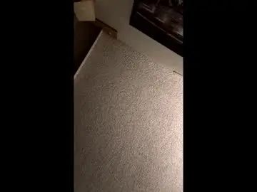 Gay sex chat with brysoneliot - camgaychat.com - Britain