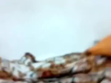 Gay sex chat with barker_maximiliano - camgaychat.com - Britain