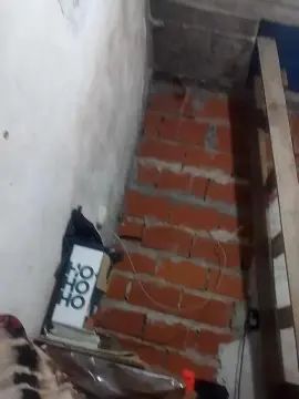 Gay sex chat with Chicovirgen22 - camgaychat.com - Spain