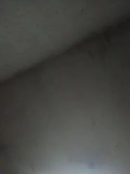 Gay sex chat with Alejblanco2225 - camgaychat.com