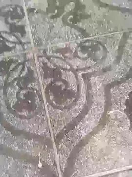 Gay sex chat with Mmmbb69 - camgaychat.com - Spain