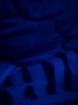 Gay sex chat with dictando922 - camgaychat.com - Romania