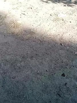 Gay sex chat with Boyperverpiss - camgaychat.com - Spain