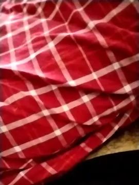 Gay sex chat with cribergamo - camgaychat.com - Italy