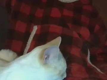 Gay sex chat with wincheslav - camgaychat.com - France