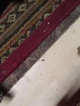 Gay sex chat with Hardrocker8769 - camgaychat.com - Britain