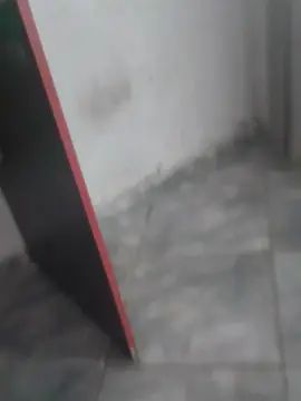 Gay sex chat with IrmaosPutao - camgaychat.com - Portugal