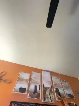 Gay sex chat with Champ4321 - camgaychat.com - Britain