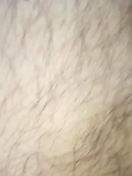 Gay sex chat with Lamealfombra - camgaychat.com - Spain