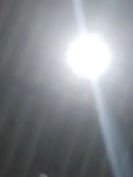 Gay sex chat with maximus_sexpert - camgaychat.com - Portugal