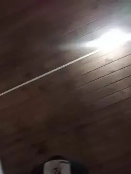 Gay sex chat with wilmeralexande1 - camgaychat.com - Spain