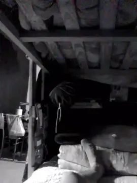 Gay sex chat with Facherito74 - camgaychat.com - Spain