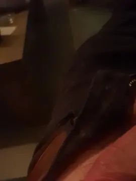 Gay sex chat with Pieter19931 - camgaychat.com - Germany