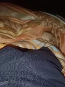 Interlingua Gay videos