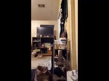 Gay sex chat with surfsup850 - camgaychat.com - Britain