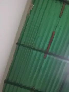 Gay sex chat with Braint2026 - camgaychat.com - Spain