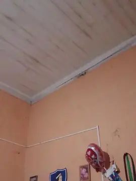 Gay sex chat with hotleon - camgaychat.com - Spain