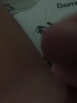 Gay sex chat with sthott - camgaychat.com - Portugal