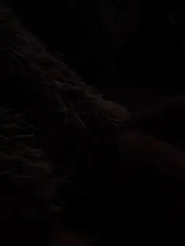 Gay sex chat with franji4 - camgaychat.com - Portugal