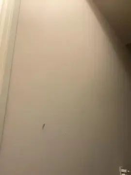 Gay sex chat with dojgfj4 - camgaychat.com - Britain