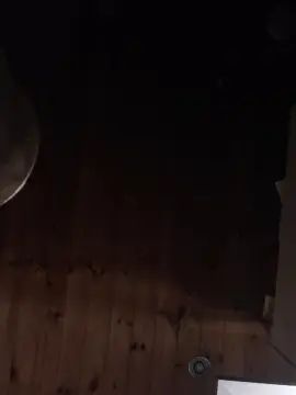 Gay sex chat with Bigtreeadz - camgaychat.com - Britain