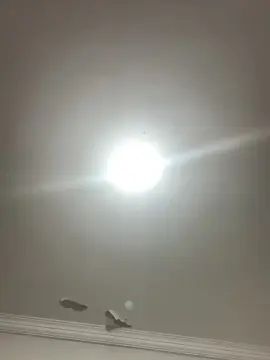 Gay sex chat with hugo2426 - camgaychat.com - Portugal