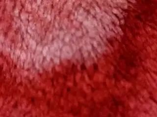 Gay sex chat with piush007 - camgaychat.com