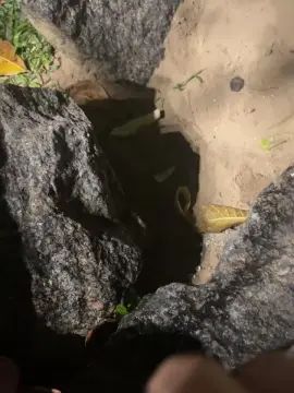  Nethinho0 - camgaychat.com - Portugal