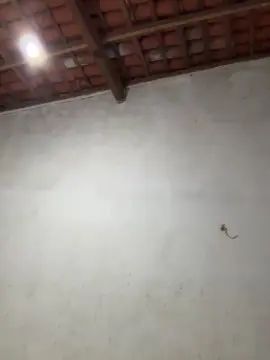 Gay sex chat with iguinhoplay - camgaychat.com - Portugal