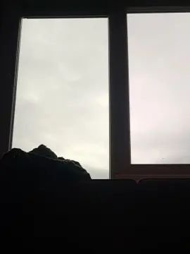 Gay sex chat with tim28nl - camgaychat.com - Netherlands