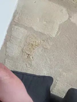 Gay sex chat with Alphabig33 - camgaychat.com - France