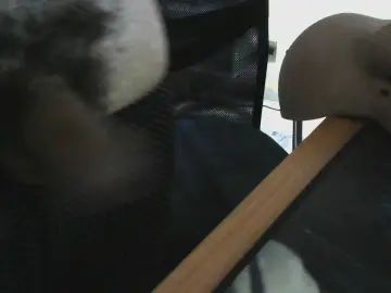 Gay sex chat with mlk_jj - camgaychat.com - Portugal