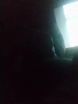 Gay sex chat with Pajeritto8 - camgaychat.com - Spain