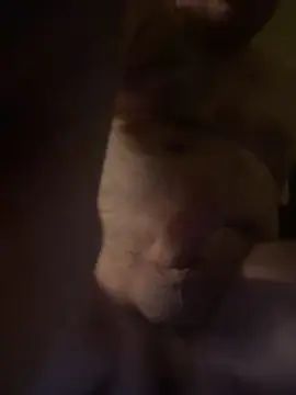 Gay sex chat with Shakethat7 - camgaychat.com - Britain