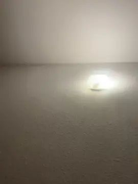 Gay sex chat with Calipoulpo - camgaychat.com - France