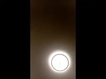 Gay sex chat with perchroyce25 - camgaychat.com - Britain