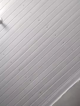 Gay sex chat with wellss2 - camgaychat.com - Portugal