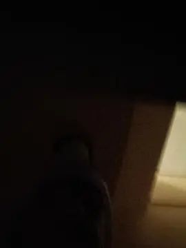 Gay sex chat with Konejit0 - camgaychat.com - Spain