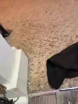 Gay sex chat with HelloMrSavory - camgaychat.com