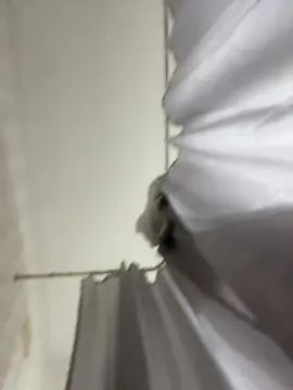 Gay sex chat with mktravieso - camgaychat.com - Britain