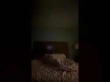 Gay sex chat with katdaddy45 - camgaychat.com - Britain