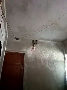 Gay sex chat with NICK_IN - camgaychat.com - Spain - India