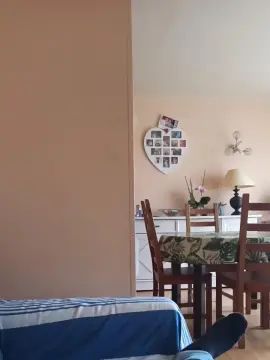 Gay sex chat with lion556 - camgaychat.com - France